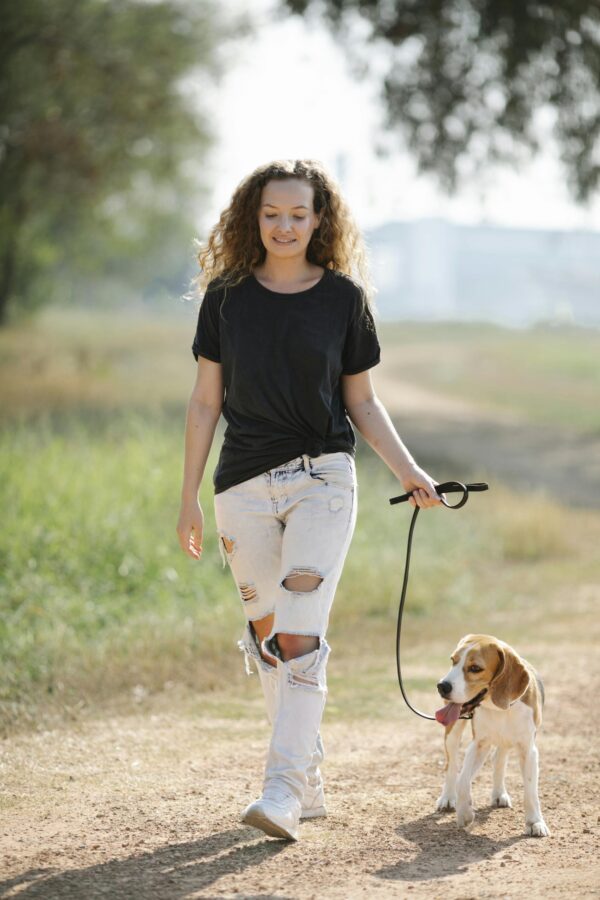 Full body of positive female owner walking with Beagle with tongue out on path in countryside