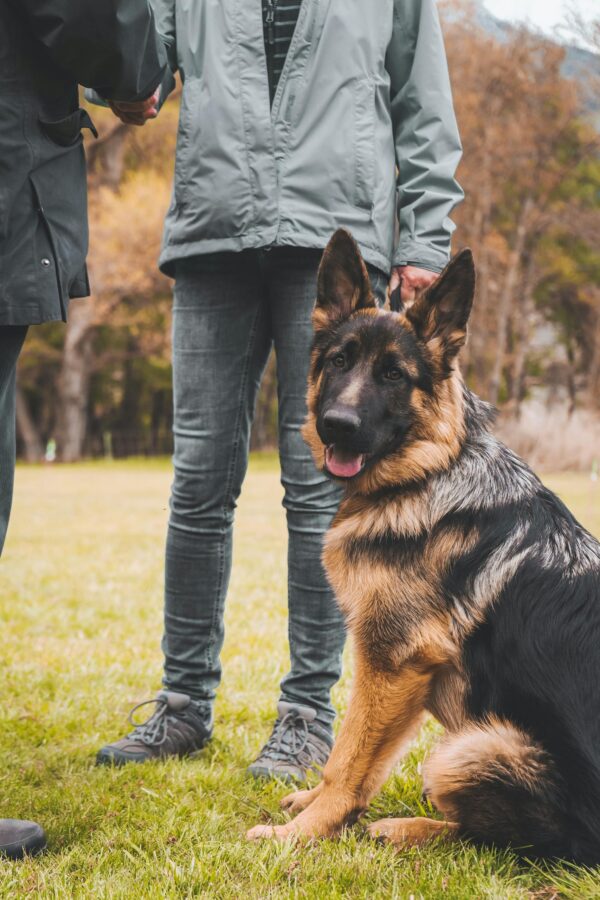 A German Shepherd sits with two adults outdoors in a park during autumn.