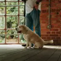 a-man-stands-with-a-beagle-in-a-stylish-brick-interior