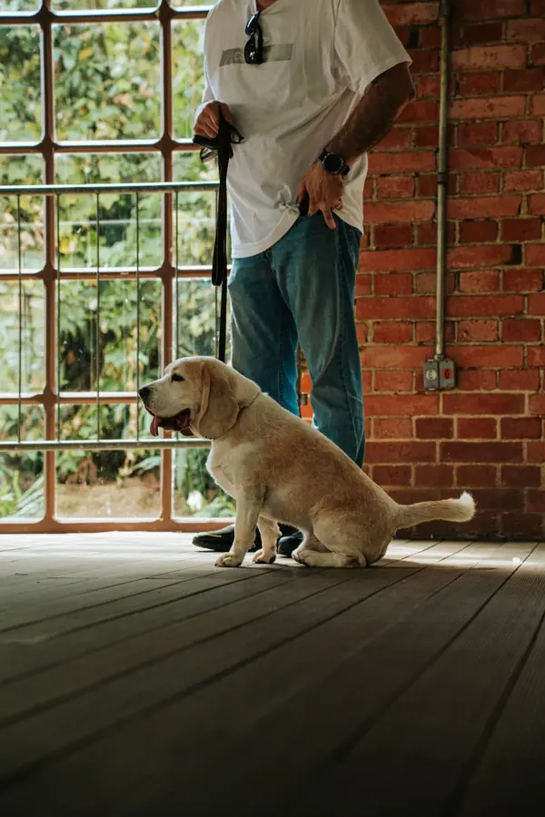 a-man-stands-with-a-beagle-in-a-stylish-brick-interior