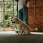 a-man-stands-with-a-beagle-in-a-stylish-brick-interior